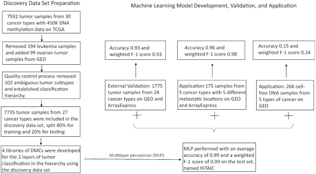 <b>HiTAIC: hi</b>erarchical tumor artificial intelligence classifier traces tissue of origin and tumor type in primary and metastasized tumors using DNA methylation.