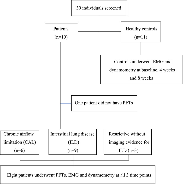 Peak Quadriceps Muscle Torque and Electromyographic Output in Patients With Chronic Respiratory Disorders: Effects of Pulmonary Rehabilitation