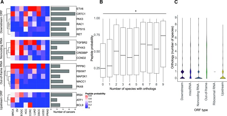 CrypticProteinDB: an integrated database of proteome and immunopeptidome derived non-canonical cancer proteins.