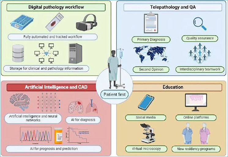 The slow-paced digital evolution of pathology: lights and shadows from a multifaceted board.