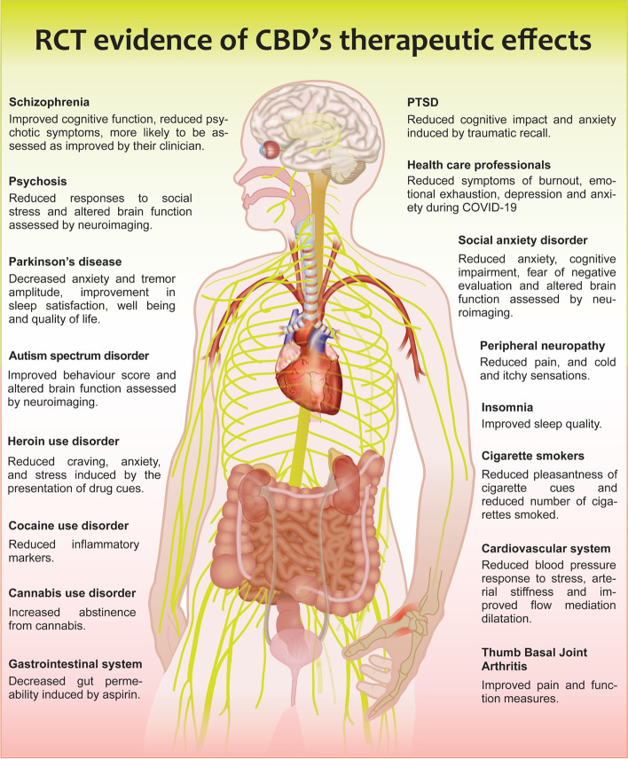 The therapeutic potential of purified cannabidiol.