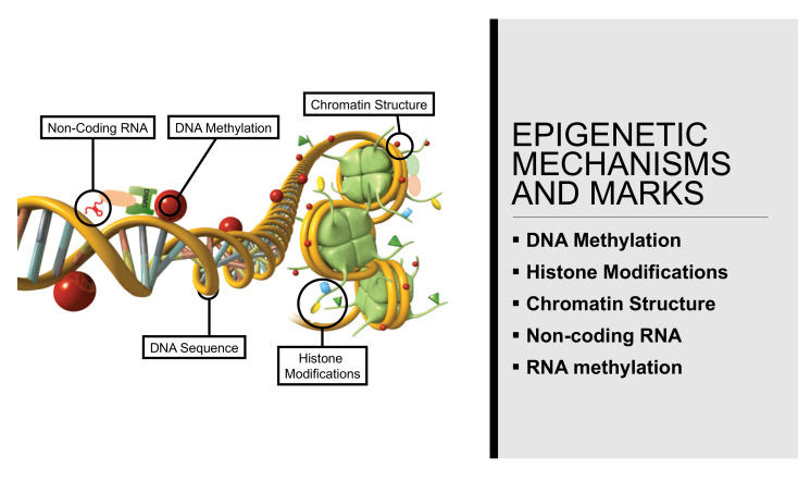 Epigenetic Inheritance and Transgenerational Environmental Justice.