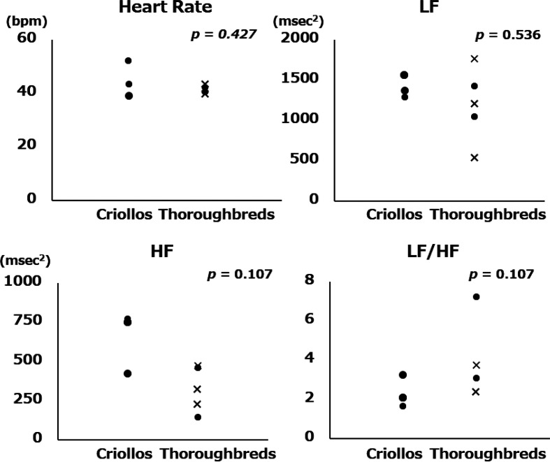 Preliminary study of heart rate variability in Criollo horses for the elucidation of their neurophysiological characteristics of autonomic nerve function.