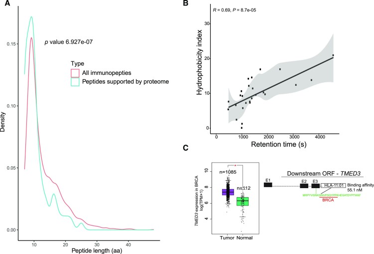 CrypticProteinDB: an integrated database of proteome and immunopeptidome derived non-canonical cancer proteins.