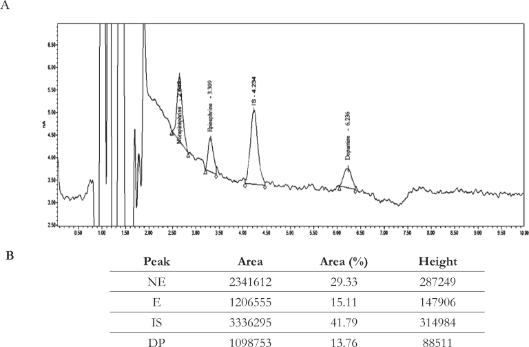 Is alumina suitable for solid phase extraction of catecholamines from brain tissue?