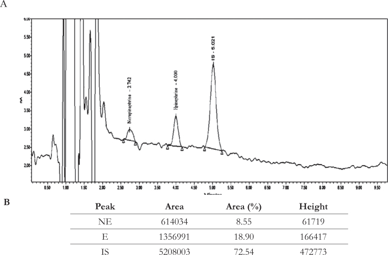 Is alumina suitable for solid phase extraction of catecholamines from brain tissue?