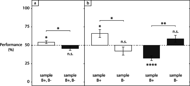 Simultaneous learning of directional and non-directional stimulus relations in baboons (Papio papio).