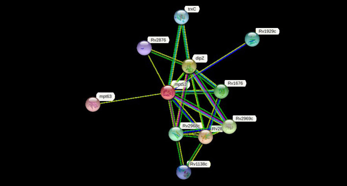 Computational approaches for molecular characterization and structure-based functional elucidation of a hypothetical protein from Mycobacterium tuberculosis.