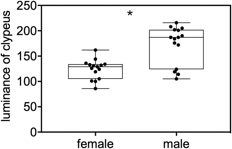 Sex recognition does not modulate aggression toward nest intruders in a paper wasp.