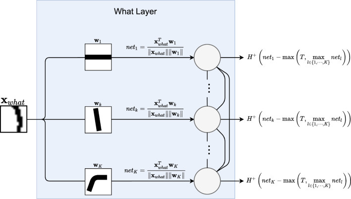 Self-organizing maps on "what-where" codes towards fully unsupervised classification.