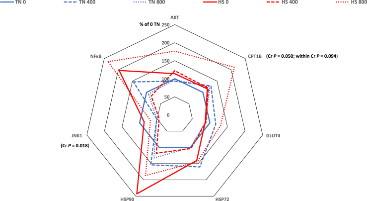 Nano-chromium picolinate and heat stress enhance insulin sensitivity in cross-bred sheep