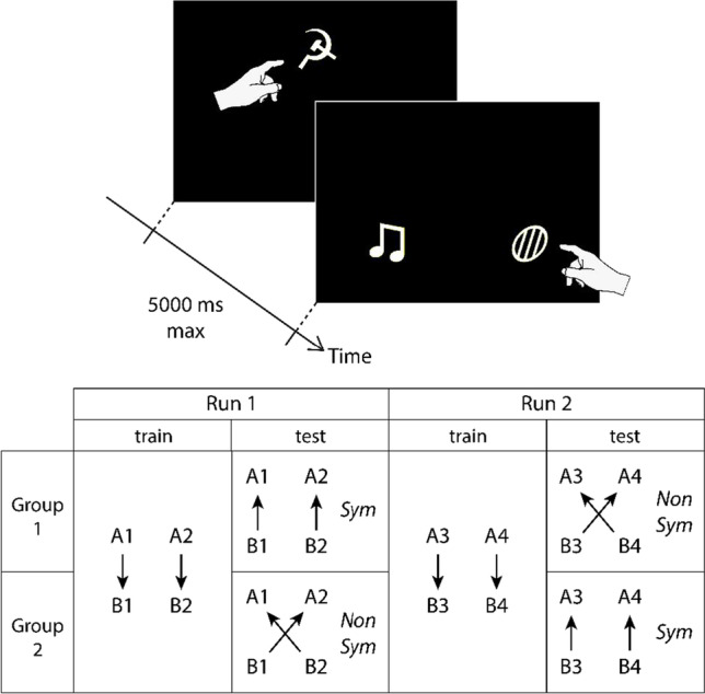 Simultaneous learning of directional and non-directional stimulus relations in baboons (Papio papio).