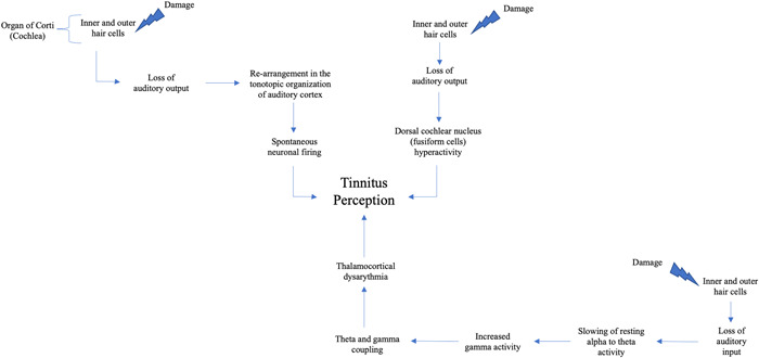 A proposed association between subjective nonpulsatile tinnitus and migraine.