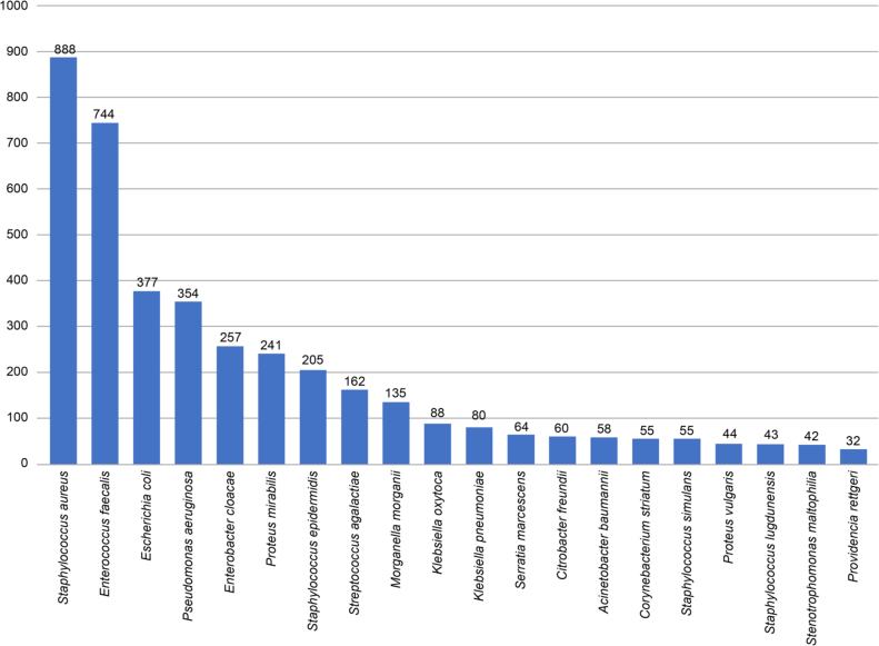 The Pathogen Isolates in Chronic Wound Infections in Poland.