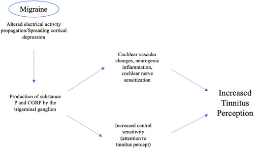 A proposed association between subjective nonpulsatile tinnitus and migraine.