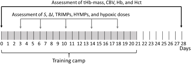 Non-enzymatic antioxidant blood plasma profile in the period of high training loads of elite speed skaters in the altitude