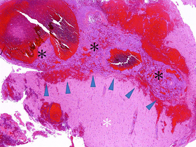 Abstract Image