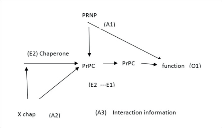 A Theoretical Framework on the Biology of Prion Diseases.