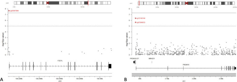 Maternal glycemia in pregnancy is longitudinally associated with blood DNAm variation at the FSD1L gene from birth to 5 years of age.