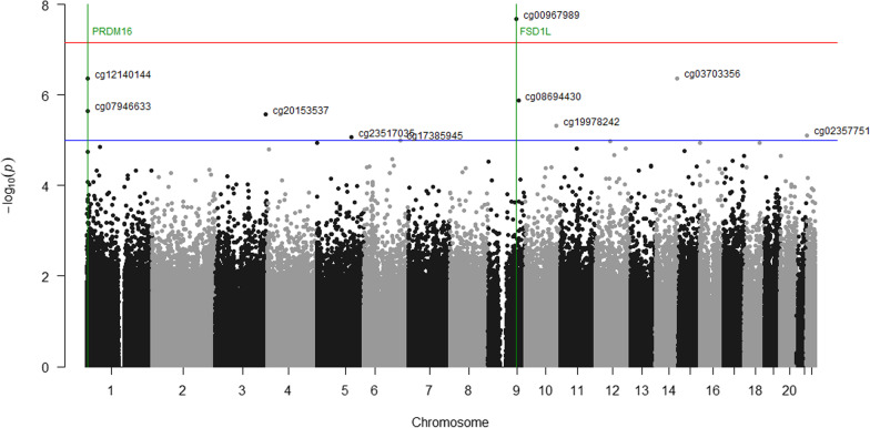 Maternal glycemia in pregnancy is longitudinally associated with blood DNAm variation at the FSD1L gene from birth to 5 years of age.