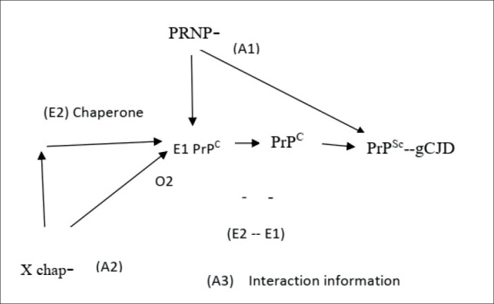 A Theoretical Framework on the Biology of Prion Diseases.