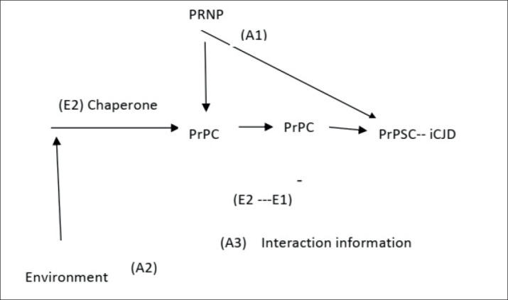 A Theoretical Framework on the Biology of Prion Diseases.