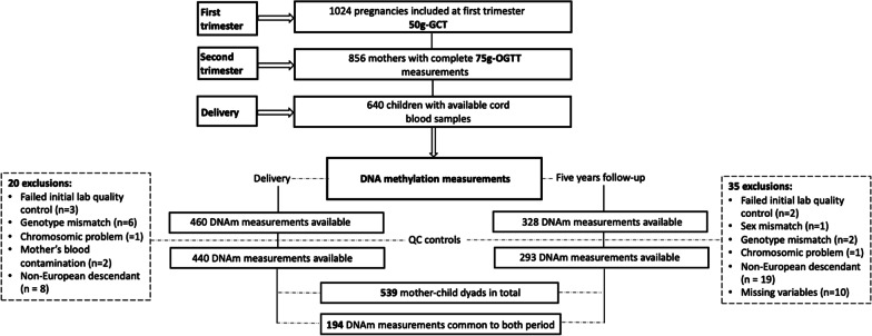 Maternal glycemia in pregnancy is longitudinally associated with blood DNAm variation at the FSD1L gene from birth to 5 years of age.