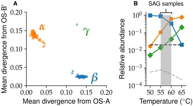 Hybridization breaks species barriers in long-term coevolution of a cyanobacterial population.