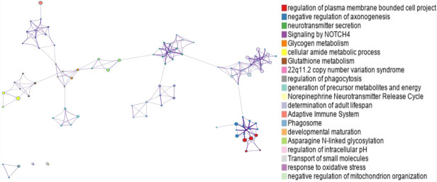 Transcriptome-wide association study reveals candidate causal genes for lumbar spinal stenosis.