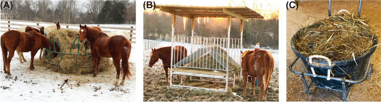 Efficiency of round bale feeders: comparison of Tombstone versus Hay Saver.