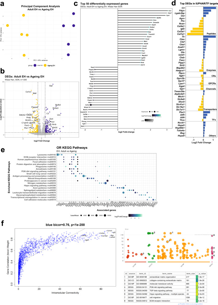 Ageing restructures the transcriptome of the hypothalamic supraoptic nucleus and alters the response to dehydration.