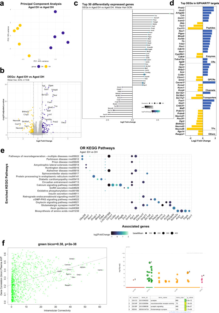 Ageing restructures the transcriptome of the hypothalamic supraoptic nucleus and alters the response to dehydration.