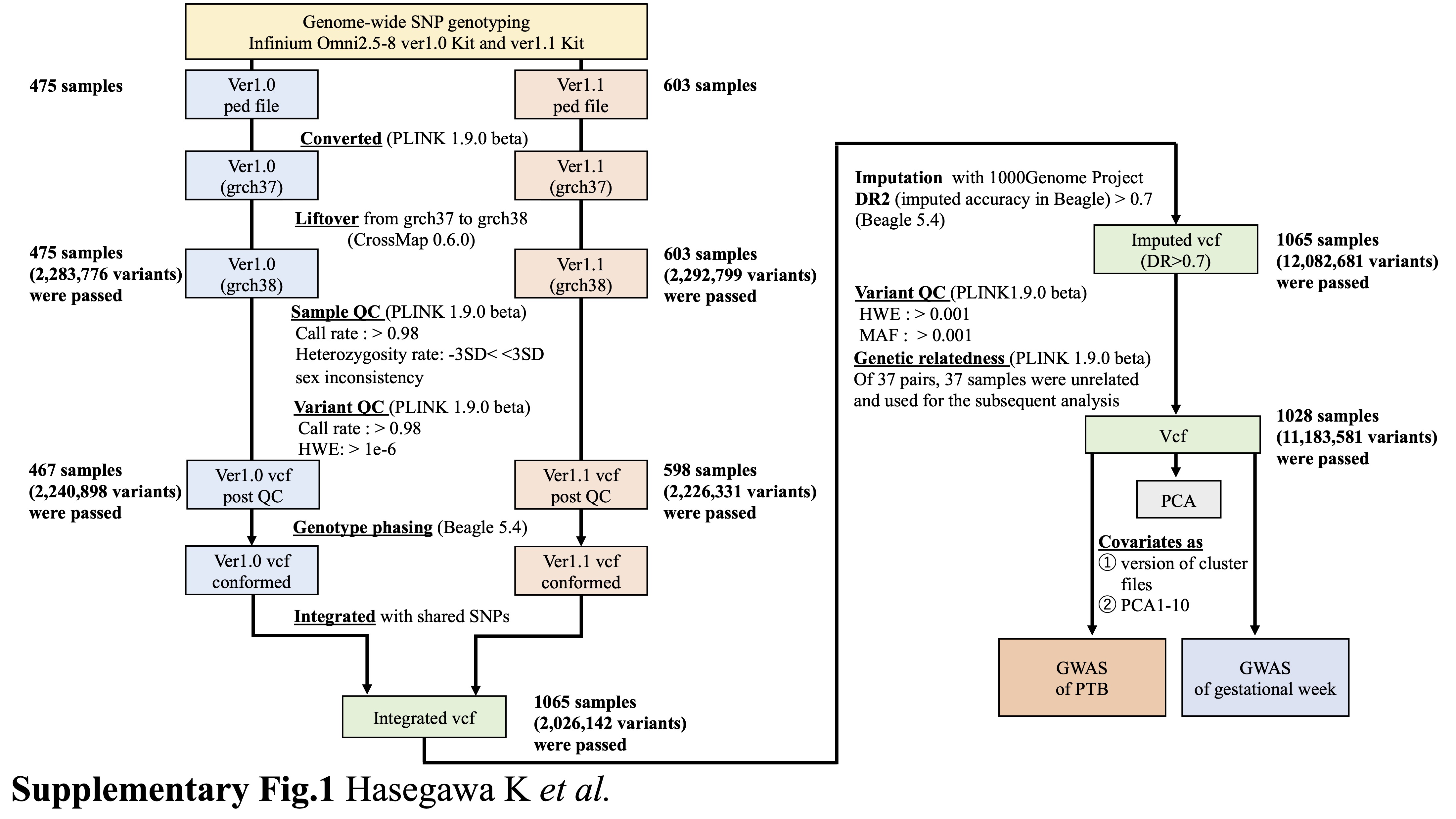 Genome-wide association study of preterm birth and gestational age in a Japanese population.