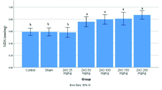 Study of different doses of zinc oxide nanoparticles by intraperitoneal and gavage methods on testicular tissue in Wistar rats: An experimental study.