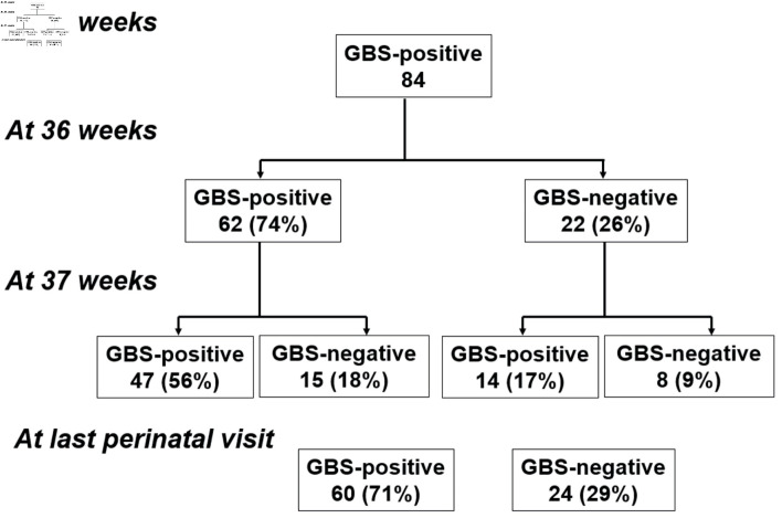 Low Accuracy of Antenatal Screening for Group B Streptococcus From Perianal Area.