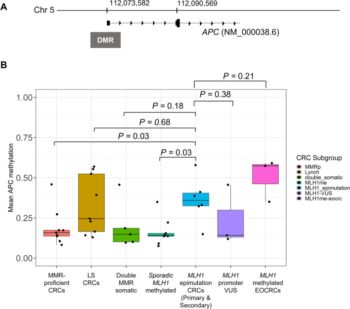 Identifying primary and secondary MLH1 epimutation carriers displaying low-level constitutional MLH1 methylation using droplet digital PCR and genome-wide DNA methylation profiling of colorectal cancers.