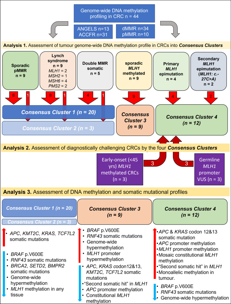 Identifying primary and secondary MLH1 epimutation carriers displaying low-level constitutional MLH1 methylation using droplet digital PCR and genome-wide DNA methylation profiling of colorectal cancers.