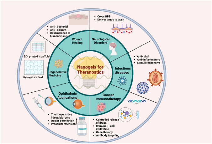 Multi-functional auto-fluorescent nanogels for theranostics.