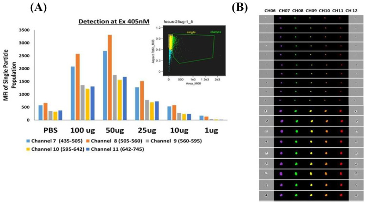 Multi-functional auto-fluorescent nanogels for theranostics.