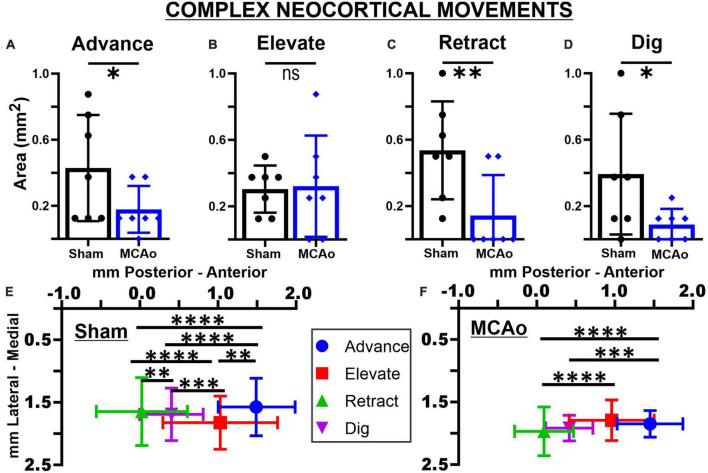 Extensive complex neocortical movement topography devolves to simple output following experimental stroke in mice.