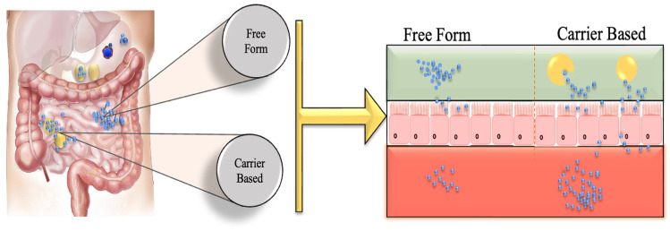 Dairy Milk Protein-Derived Bioactive Peptides: Avengers Against Metabolic Syndrome.