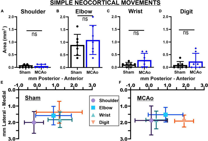 Extensive complex neocortical movement topography devolves to simple output following experimental stroke in mice.