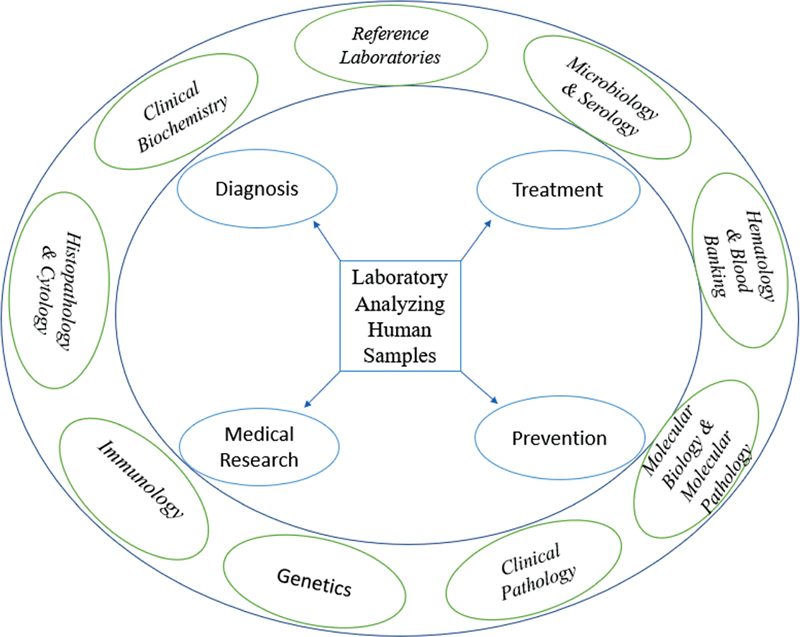 A Comparative Review of ICMR, WHO, and EMA Guidelines for Good Clinical Laboratory Practices.