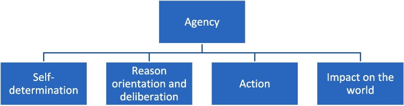 Care-based community communication, capacity, and agency during the COVID-19 pandemic: Evidence from the Complexo da Maré Favela, Brazil