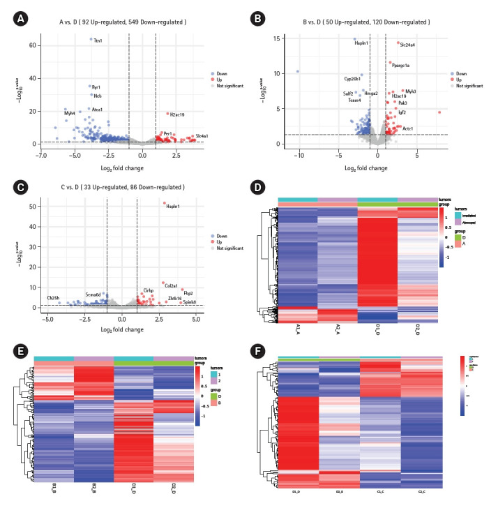 Radiotherapy combined with immunotherapy could improve the immune infiltration of melanoma in mice and enhance the abscopal effect.