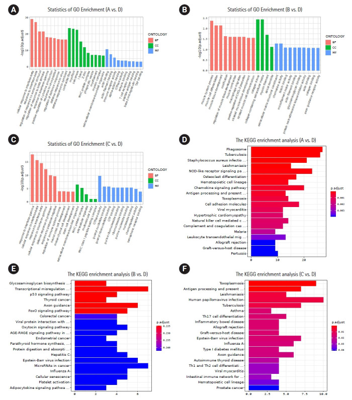 Radiotherapy combined with immunotherapy could improve the immune infiltration of melanoma in mice and enhance the abscopal effect.