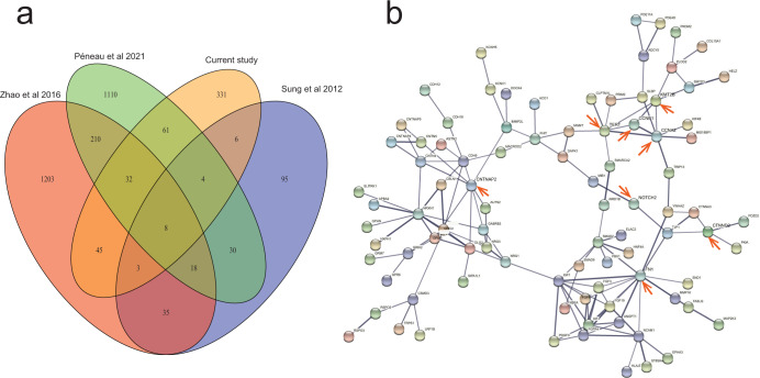 Characteristics of Hepatitis B virus integration and mechanism of inducing chromosome translocation.