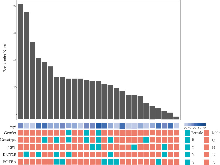 Characteristics of Hepatitis B virus integration and mechanism of inducing chromosome translocation.