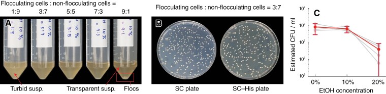 The role of recognition error in the stability of green-beard genes.