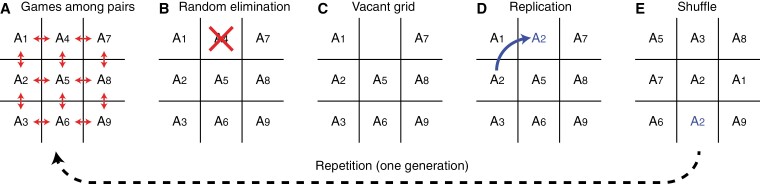 The role of recognition error in the stability of green-beard genes.